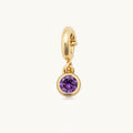 Custom February Birthstone Charm