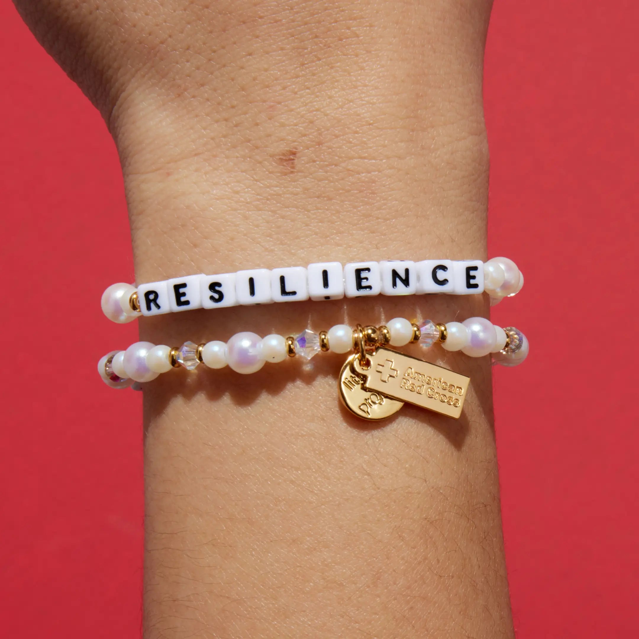 Resilience- Disaster Relief