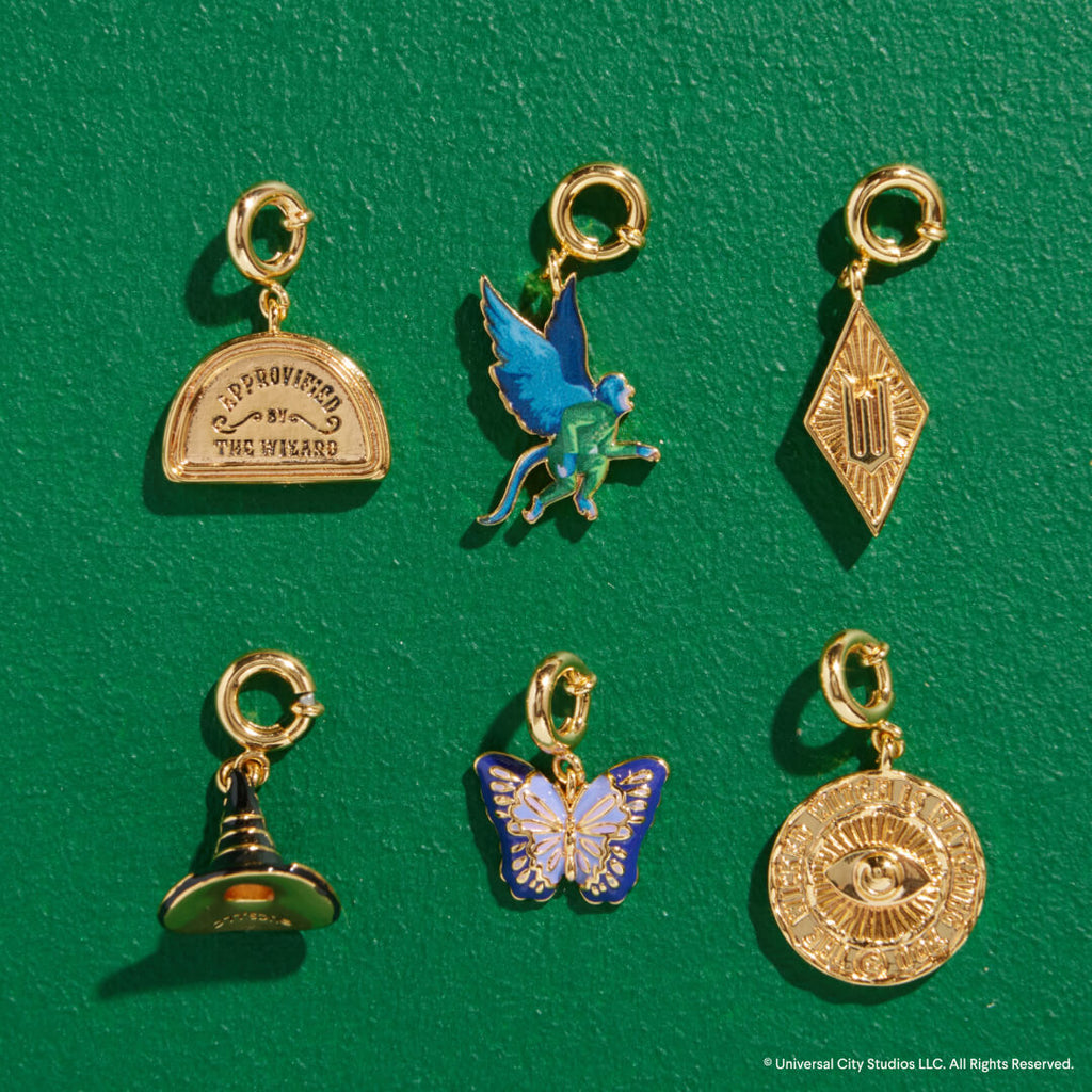 Approved By The Wizard Charm- Wicked