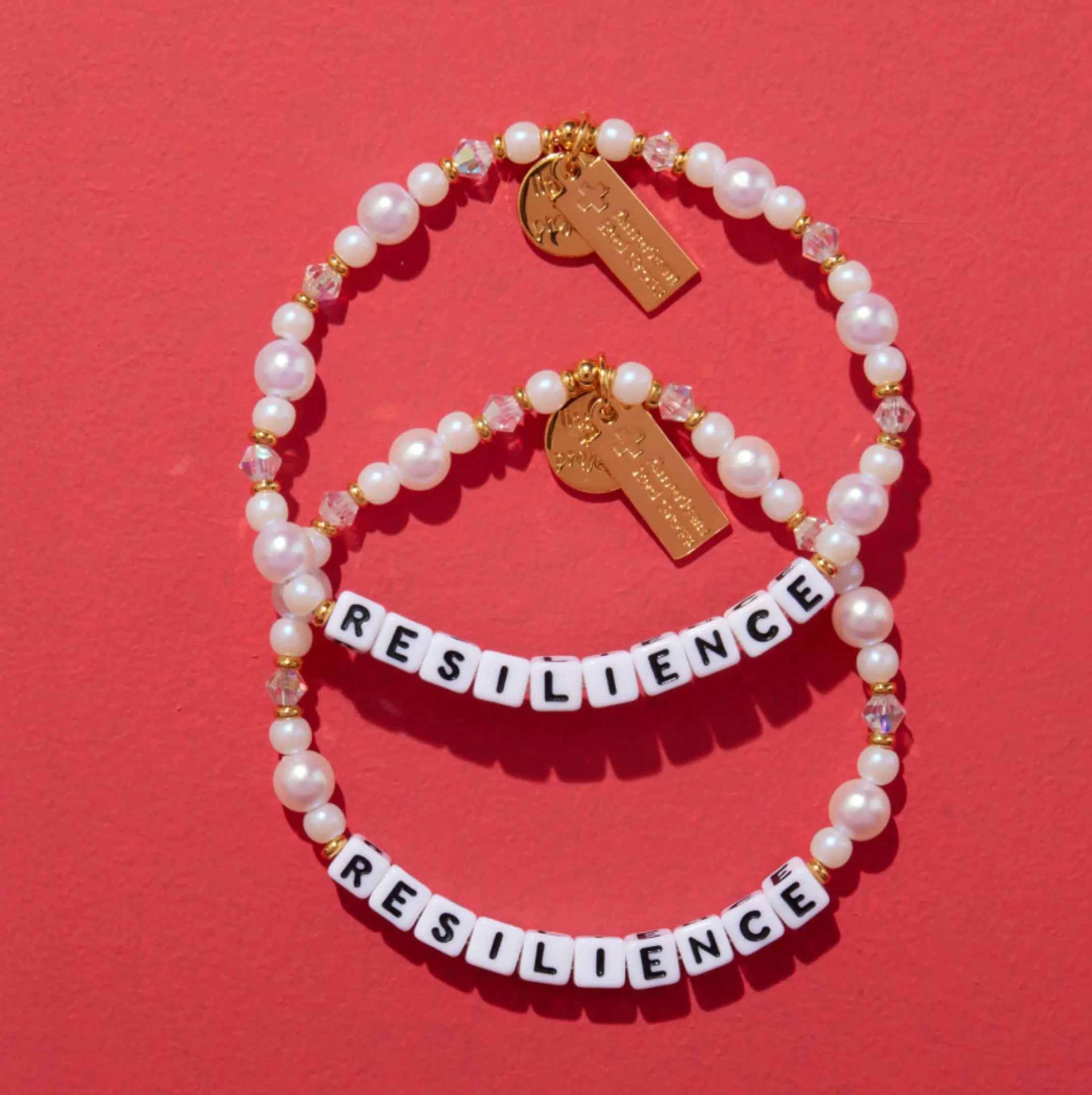 Resilience- Disaster Relief